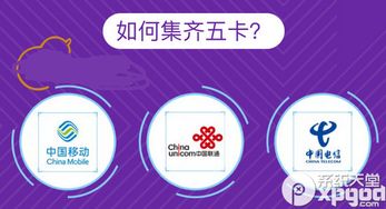 支付寶517通信狂歡節(jié)集卡攻略 高效掃碼與卡集信息全解析